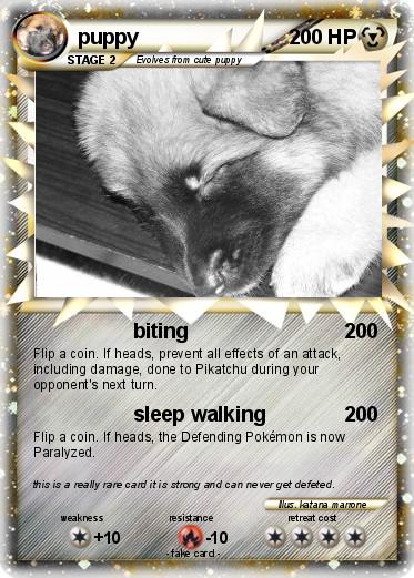 Pokemon puppy