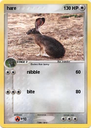 Pokemon hare