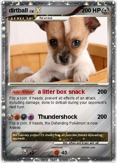 Pokemon dirtball