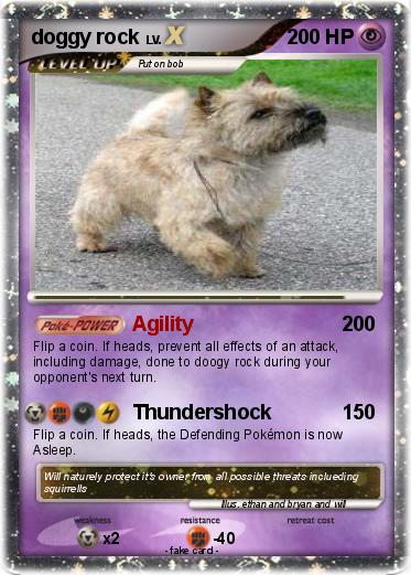 Pokemon doggy rock