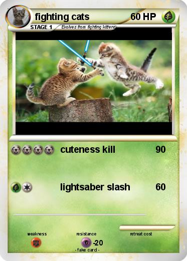 Pokemon fighting cats