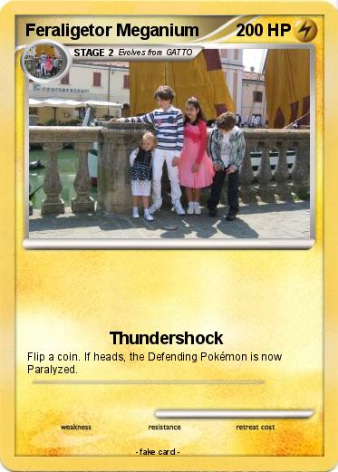 Pokemon Feraligetor Meganium