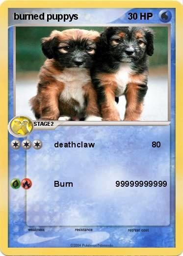 Pokemon burned puppys