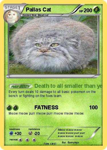 Pokemon Pallas Cat