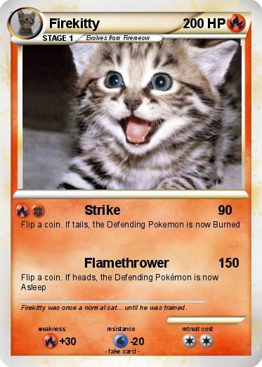 Pokemon Firekitty