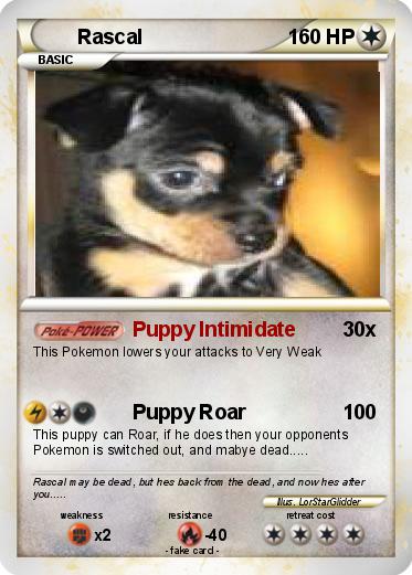 Pokemon Rascal