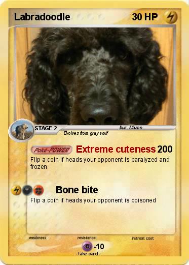 Pokemon Labradoodle