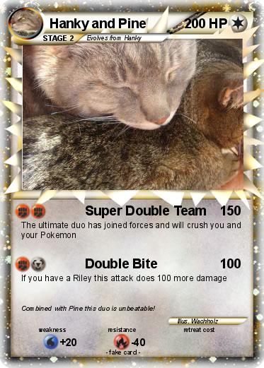 Pokemon Hanky and Pine