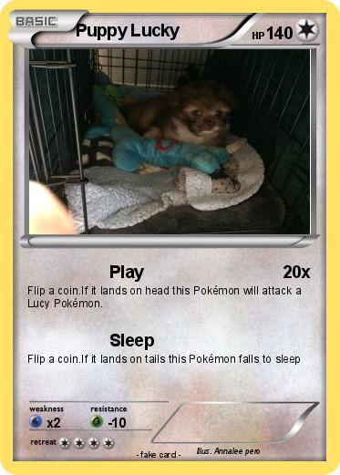 Pokemon Puppy Lucky