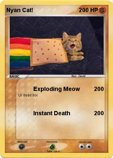 Pokemon Nyan Cat!