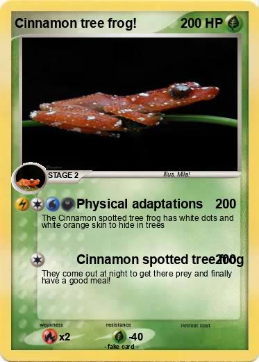Pokemon Cinnamon tree frog! Pokemon Cinnamon tree frog!