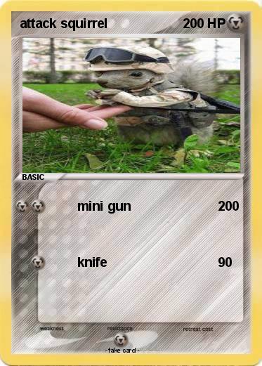 Pokemon attack squirrel