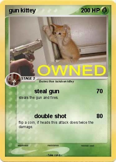 Pokemon gun kittey