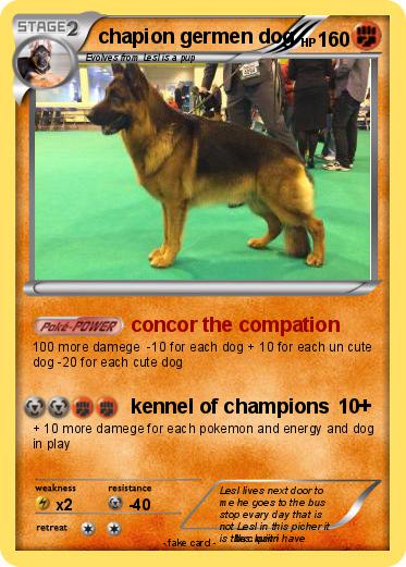 Pokemon chapion germen dog