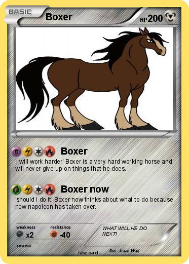 Pokemon Boxer
