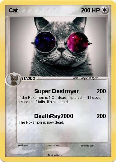Pokemon Cat