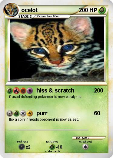 Pokemon ocelot