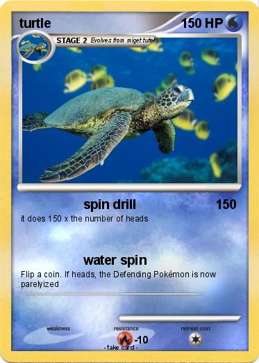 Pokemon turtle