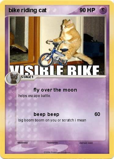 Pokemon bike riding cat