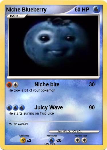 Pokemon Niche Blueberry