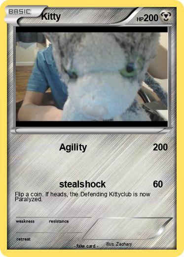 Pokemon Kitty