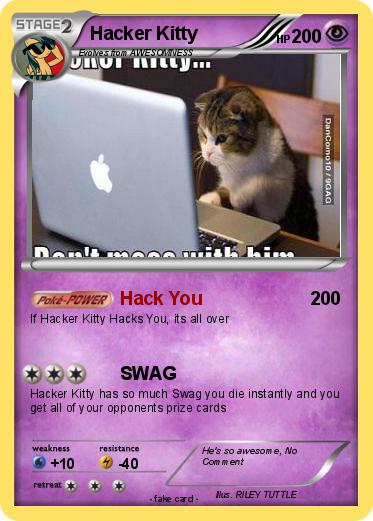Pokemon Hacker Kitty