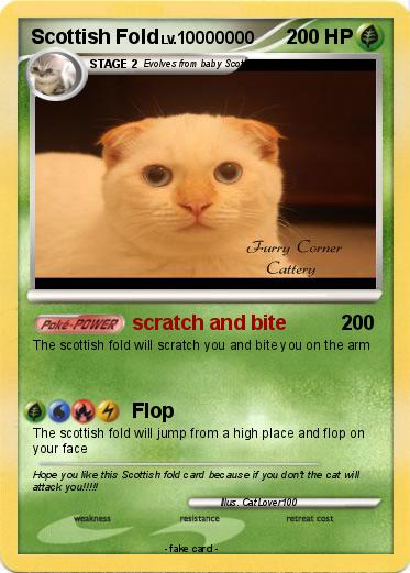 Pokemon Scottish Fold