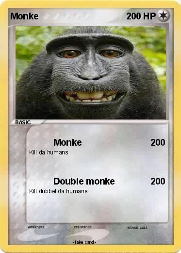 Pokemon Monke