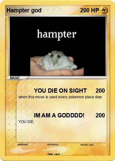 Pokemon Hampter god
