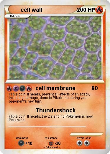 Pokemon cell wall