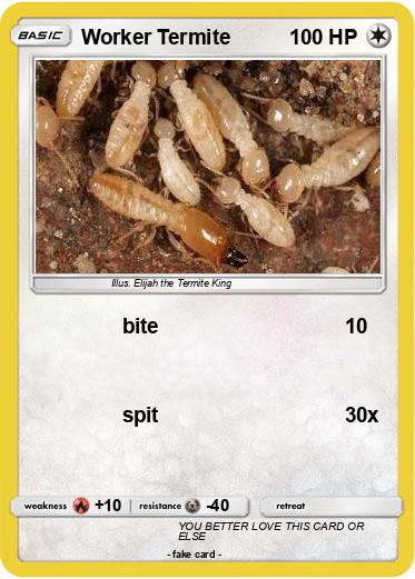 Pokemon Worker Termite