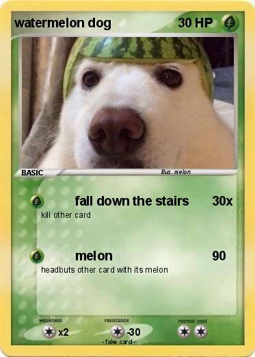Pokemon watermelon dog