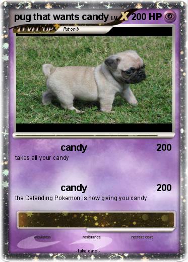 Pokemon pug that wants candy