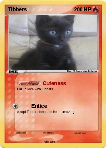 Pokemon Tibbers