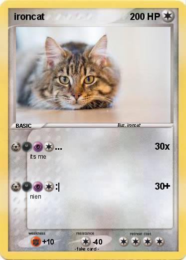 Pokemon ironcat