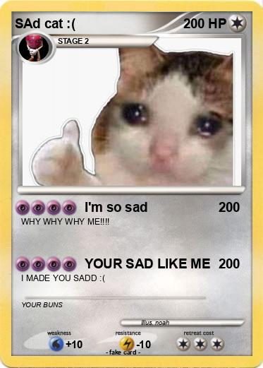 Pokemon SAd cat :(
