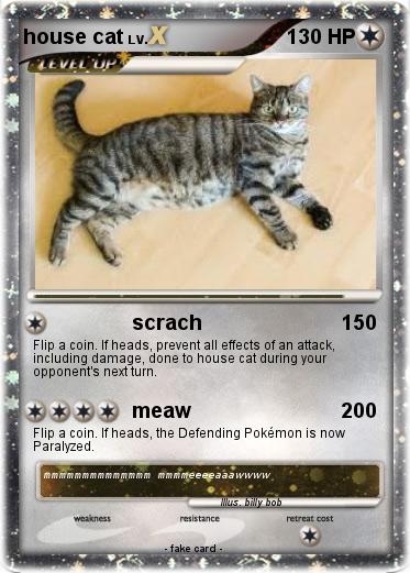 Pokemon house cat