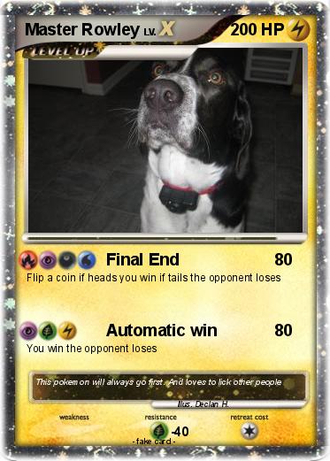 Pokemon Master Rowley