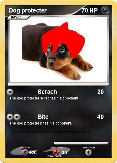 Pokemon Dog protecter