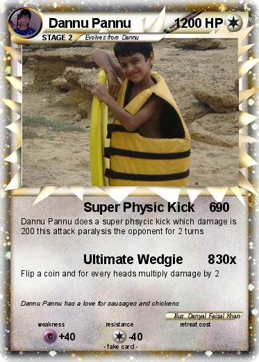 Pokemon Dannu Pannu            1