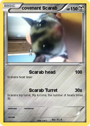 Pokemon covenant Scarab