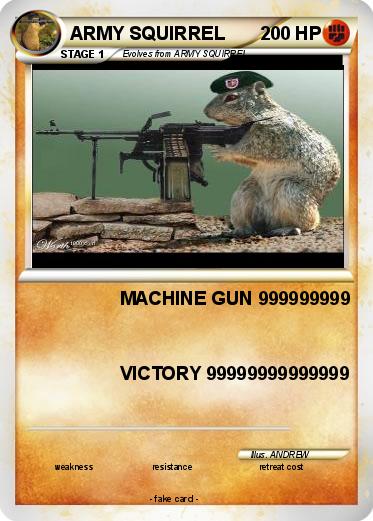 Pokemon ARMY SQUIRREL