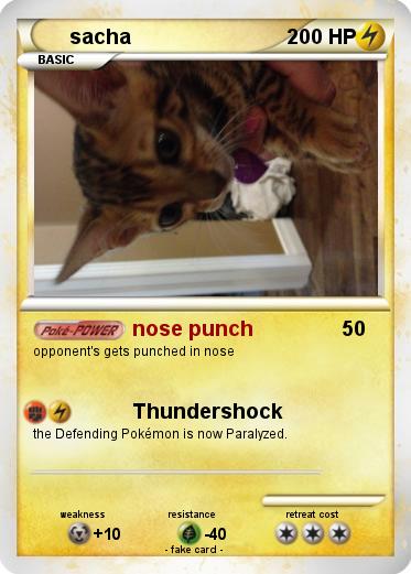 Pokemon sacha