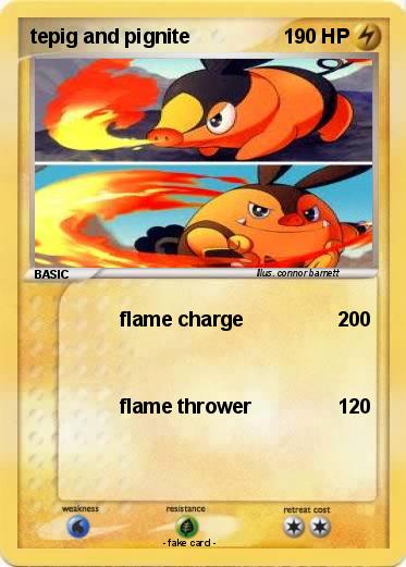 Pokemon tepig and pignite
