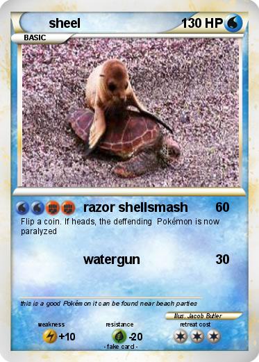Pokemon sheel