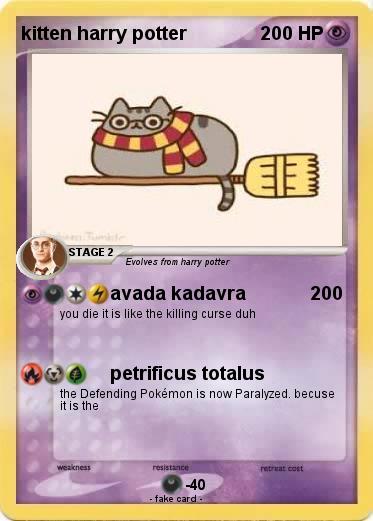 Pokemon kitten harry potter