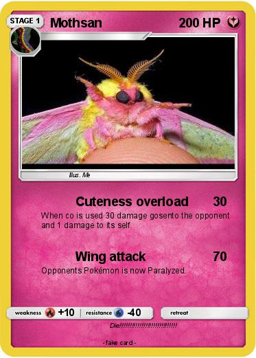 Pokemon Mothsan