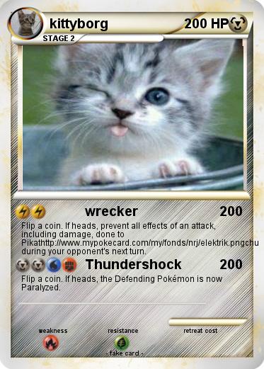 Pokemon kittyborg