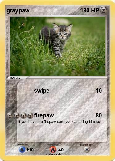 Pokemon graypaw