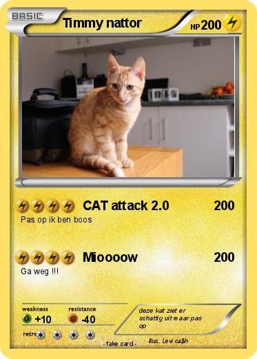 Pokemon Timmy nattor